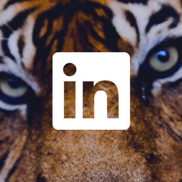 Content On Linkedin Finance Brands Win Back Trust The Dubs