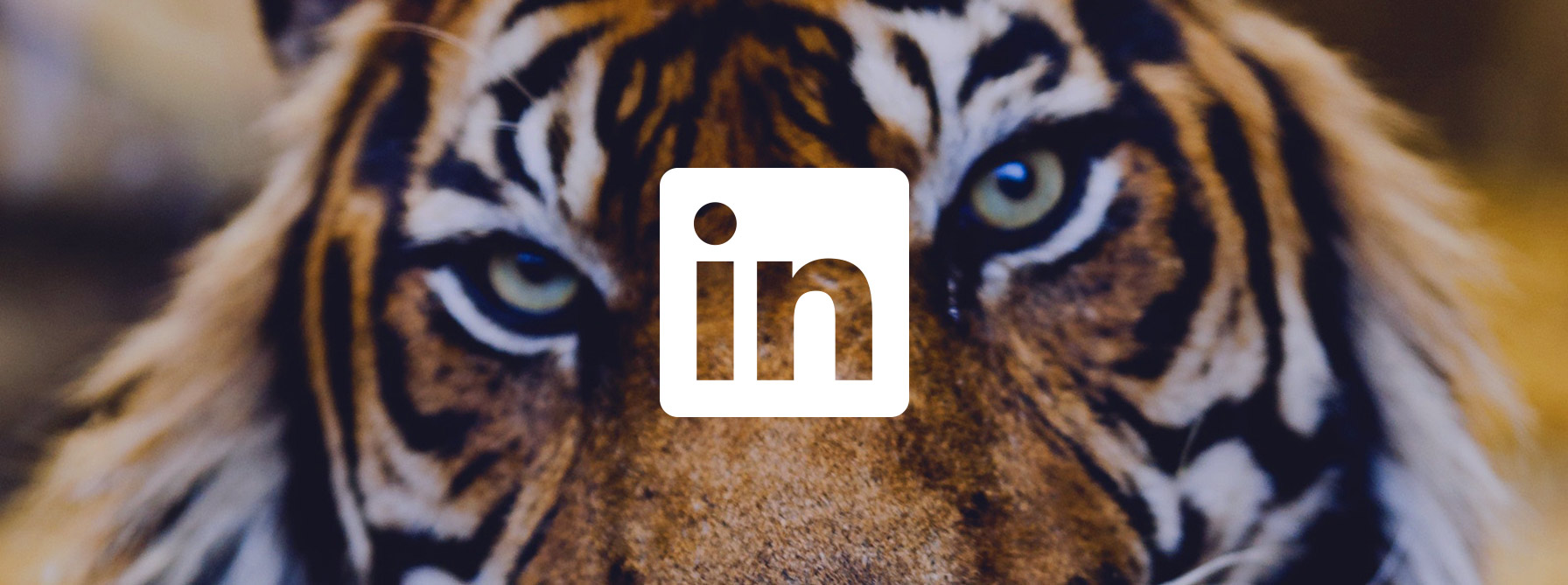 Content On Linkedin Finance Brands Win Back Trust The Dubs